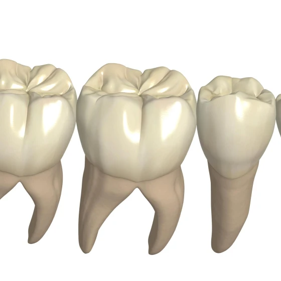 歯周ポケットの深さが減少